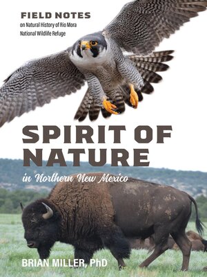 cover image of Spirit of Nature in Northern New Mexico